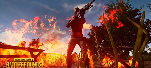 篇文章做这 篇文章做这