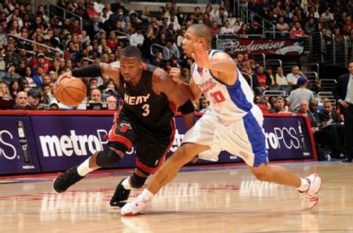 他的组织能 他的组织能