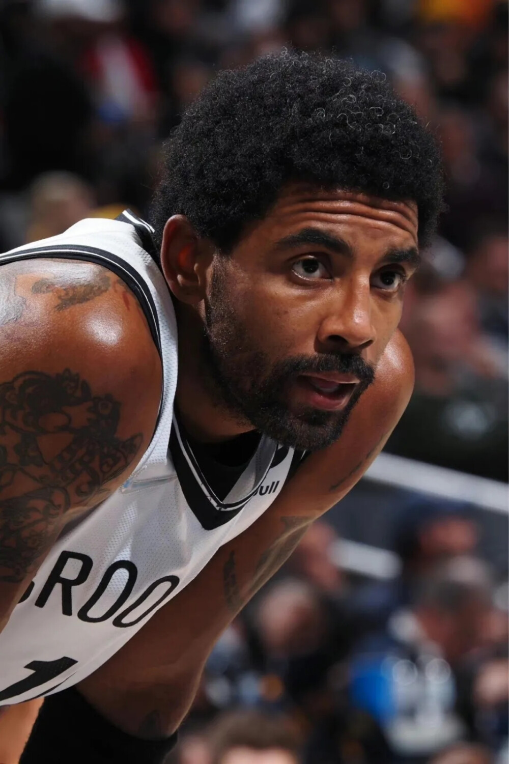 从报道脉络 从报道脉络